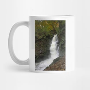 Dolgoch Falls Gwynedd Mug